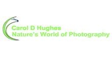 Carol D Hughes Natures World of Photography
